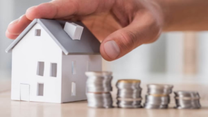 Cash Flow vs. Capital Growth
